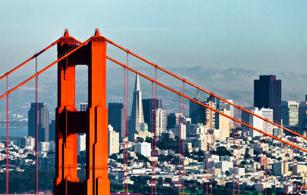 Picture of the Company